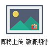 南橋無線電子叉車秤，南橋無線電子叉車秤畢勝